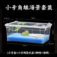 小号海景套餐 蚕宝宝手提盒子蚕宝宝饲养盒大 学生养蚕套装工具彩