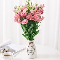 粉色洋桔梗+随机配草+送保鲜剂 花苞：10-15个（体验款） 桔梗鲜花云南直发办公室家庭生活水养真花生日礼物洋桔梗花束
