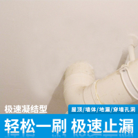 升级版堵圣1kg 堵漏王快干水泥地面修补屋顶防水补漏材料楼房顶水泥砂浆白水泥胶