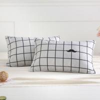 白格胡子 1枕芯1枕套 枕头枕芯一对装带枕套学生单人男家用双人可爱女生一对装韩式卡通