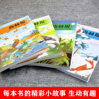 正版森林报春夏秋冬全套4册小学四年级下册课外阅读必读书全集比安基著21二十一世纪出版社深林豹候鸟故事绘四册合集非注音人