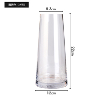 透明色小号[冲冠] 随时涨价 北欧创意简约ins风玻璃花瓶透明客厅餐桌百合装饰插花轻奢摆件