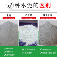 鑫隆水泥膏砂浆王黄沙子防水堵漏王自流平家用花盆耐火白水泥速干