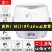 亮灰色 小浣熊电热饭盒双层保温饭盒可插电加热煮热饭器迷你电饭盒蒸饭器