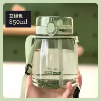 绿色带背带850ml(杯刷+ 贴纸+吸管刷) 高颜水杯大容量850ml两用便携背带双饮杯可爱布丁塑料大肚吸管杯