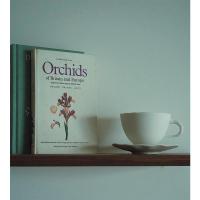 白色 260ml 妙HOME设计师款异形不规则咖啡杯套装骨瓷艺术感节日礼物乔迁礼物