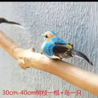 树枝30-40cm十小鸟一只 小鸟树枝民宿墙面装饰 幼儿园创意北欧墙饰 壁挂电视背景壁饰挂件