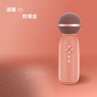 专业版玫瑰金[支持双麦对唱] 无线蓝牙话筒音响一体麦克风电视电脑手机唱歌儿童k歌神器扩音器