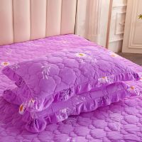 紫色雏菊 枕套一对[无枕芯] 加厚绒水晶绒枕套花边夹棉枕套拉链式枕头套4874cm均码枕皮一对装