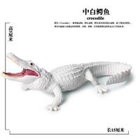 Ox-113中白鳄鱼 真实心野生动物玩具模型实心静态车载装饰摆件手办
