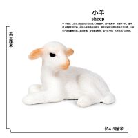 W-255卧姿小羊(很小) 仿真野生动物实心静态模型弯角绵羊手办大角盘羊绵羊塑胶儿童玩具
