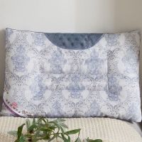 40x60cm一只装 决明子磁石荞麦枕芯一只装一对装枕头枕芯保健枕枕芯枕套套装