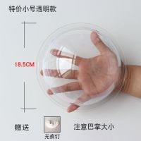 185mm透明小号裸缸(只配无痕钉) 墙上装饰品墙面壁饰创意家居卧室墙饰挂饰花盆壁挂鱼缸墙壁挂件