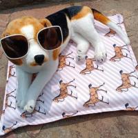 小号(长46cm x 宽42cm) 颜色随机(牛津布-高密度聚酯棉) 宠物用品狗垫子睡垫猫窝狗窝四季通用冬牛津布耐咬不粘