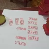 鸽子章翅膀印暗信鸽比赛用 鸽子章翅膀印暗信鸽比赛用