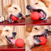 超小号3.8cm(建议3斤内的狗狗) 宠物狗狗玩具实心橡胶球训练耐咬球宠物玩具球泰迪磨牙大型犬训犬