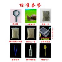 标准套餐+送1只备损 非洲大蜗牛蜗牛活物巨型蜗牛活蜗牛巨型褐云玛瑙蜗牛懒人饲养宠物