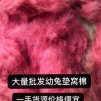 幼兔垫窝绒毛毛绒取暖长毛兔幼崽保暖专用棉花一份5斤拍前请联系 幼兔垫窝绒毛毛绒取暖长毛兔幼崽保暖专用棉花一份5斤拍前请联