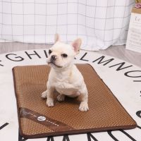 S号50*40CM适用8斤内的宠物 狗狗凉席垫可拆洗夏天睡垫猫垫猫咪耐咬夏季宠物冰垫四季海绵垫子