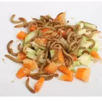 试吃300条送麦麸 面包虫子活体黄粉虫大麦虫鹦鹉龙鱼八哥乌龟小鸟食活体饲料虫钓鱼