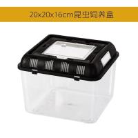 R-MAX正方形款 R-MAX高透甲虫饲育盒 巨型昆虫另类宠物爬虫饲养箱 透气易