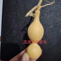 38号 高度品相看图片 蚂蚁肚葫芦 天津嘴葫芦 异形葫芦 长嘴葫芦 精品实拍 一物一图