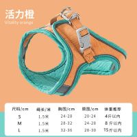 全新绿橙 S型(适合4斤内/1.5m牵引绳 猫咪牵引绳背心式防挣脱专用溜猫绳外出溜猫绳子猫链栓猫绳子用品