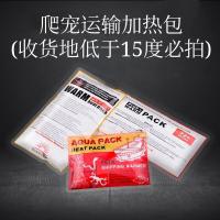 运输加温包(防路上冻死) 宠物亚洲雨林蝎子爬虫幼苗大号1-17cm公母一对大黑温顺上手送套餐