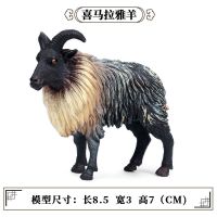 M-842喜马拉雅羊[重59克] 均码 儿童仿真野生动物实心静态模型绵羊山喜马拉雅羊塑胶玩具摆件套装