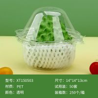 500克有孔 50个 一次性透明水果盒750克释迦盒500克释迦包装盒火龙果加厚打包盒