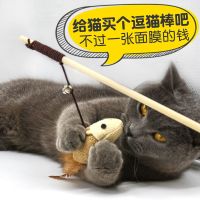 [逗猫棒]木杆老鼠 猫玩具逗猫棒自嗨猫咪解闷神器幼猫老鼠小逗猫不倒翁耐咬猫猫用品