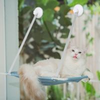 蓝色单层 猫玻璃旋转吸盘吊床双层晒太阳台窗户四季透气网猫咪爬架猫咪窝床