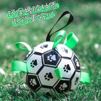 宠物互动足球玩具 专用打气筒 狗狗足球玩具耐咬解闷神器磨牙宠物互动球狗泰迪柯基用品金毛幼犬