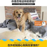 小号3只(4.5 * 4.6_g 宠物玩具萌萌小黄鸭大黄鸭 狗狗猫咪发声玩具耐咬宠物用品