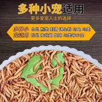 一斤面包虫麦麸(只是麦麸) 面包虫活虫仓鼠乌龟壁虎宠物食物蜥蜴金龙鱼鲜活黄粉虫活体饲料