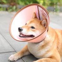 A2(脖围:16-18cm)+ 绿色 kimpets猫咪伊丽莎白圈软宠物猫用绝育大型犬狗狗兔子泰迪防舔