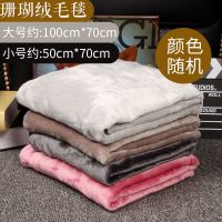 毛毯[颜色随机] 3号:51*34cm 狗狗垫子猫垫子冬天宠物窝狗窝猫窝泰迪金毛加厚毛毯子狗笼垫被子