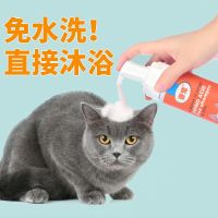 一瓶干洗泡沫[洗澡刷+吸水毛巾] 宠物干洗泡沫狗狗猫咪幼犬免洗除臭杀菌兔子干洗粉洗澡沐浴露用品