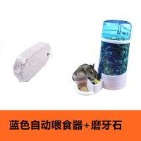 蓝色喂食器+磨牙石 仓鼠自动喂食器鸽子鹦鹉喂食器喂水器金丝熊豚鼠兔子松鼠刺猬食盆