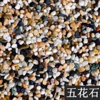 一斤五花石Q72 七彩鱼缸小石头子摆件彩石装饰品布景造景鹅卵石石鱼缸水族箱石子
