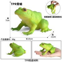 BY-TPR软胶青蛙 软胶仿真海洋动物恐龙玩具静态模型长颈鹿海龟鱼龙海象龙王鲸摆件