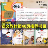 小英雄雨来 鲁滨逊漂流记正版六年级下册必读课外书爱丽丝漫游奇境骑鹅旅行记