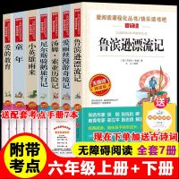 老师指定[爱阅读版]附带导读批注解析 名著随机发货[不接受指定书名]如图 鲁滨逊漂流记孙飘汤姆索亚历险记正版骑鹅旅行记六
