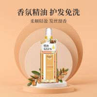 护发精油100ml 卓蓝雅摩洛哥护发精油润养亮泽修护发丝染烫后头发护理