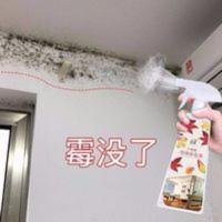 500mL 墙上发霉用什么喷徐霉剂墙体除霉剂 酶立净墙霉一喷净 家用济墙壁