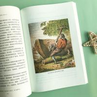 鲁滨逊漂流记 鲁宾孙漂流记鲁滨逊漂游记人教版鲁滨逊漂流记六年级课外书籍必读