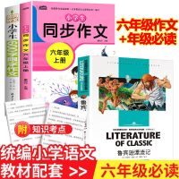 鲁滨逊漂流记 鲁滨逊漂游记鲁宾孙漂流记汤姆索亚尼尔斯骑鹅旅行记正版六年级下