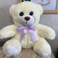 白色 20厘米迷你型 泰迪熊公仔抱抱熊抱枕布娃娃毛绒玩具熊大号生日礼物女生熊猫玩偶