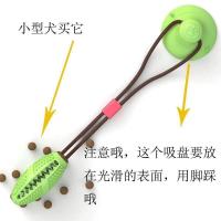 中小型狗狗通用[升级款]绿色橄榄球款 狗狗耐咬磨牙玩具 宠物益智吸盘磨牙棒发声 宠物金毛柯基互动玩具