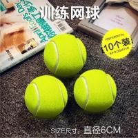 网球(10个装) 狗狗玩具耐咬幼犬磨牙泰迪小狗尖叫鸡猫狗玩具球宠物用品解闷神器